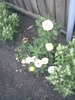 Imag017