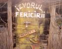 fericre_defecta