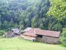 DSCF5008