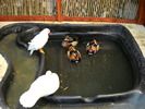 DSCN0154