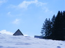 DSCF6983