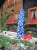 IMG_1571