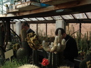 DSC01594