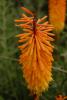 Resize of DSC_0317
