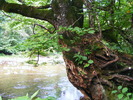 DSCF5025