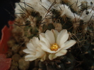 DSC08752