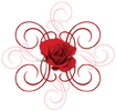 engaged-7-red-rose-2[1]