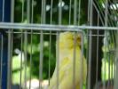 DSC00656