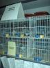 expo-fcpr-2008-15.