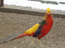 P1000754