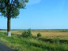 DSCF3801