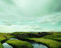 nature (100)