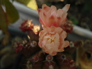 DSC09548