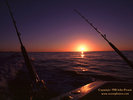 Fishing at Dawn 2