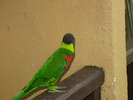 IMG_0091
