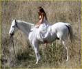 miley-cyrus-white-horse-photo-shoot-07