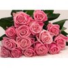 buchet-21-trandafiri-roz-image0-434163