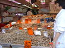 CHINA TOWN