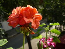 P1010477