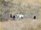 miley-cyrus-white-horse-photo-shoot-18