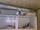 25052008417