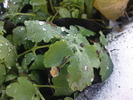 DSC00647