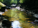 DSCF5270