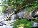 DSCF5263