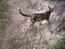 PICT0054