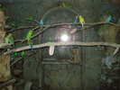Picture 025