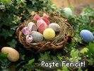 paste_fericit93