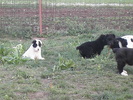 poze 04.05.2009 173