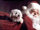 Christmas Wallpapers (154)