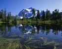 CASCADES