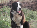 poze 01.05.2009 053
