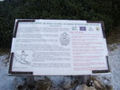 DSC04613