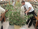 DSC04035