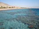517 Israel - Eilat - The Observatory Marine Park