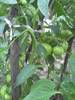 PICT0023