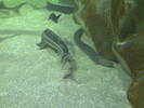 PICT0112