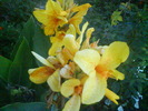 DSC01133