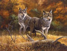 Two Wolves_jpg