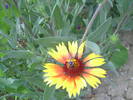 PICT0090