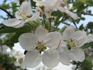 Picture 071