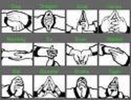 SIGNs[1]