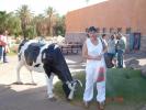 280 Israel - in drum spre Timna Park