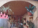 DSC09814