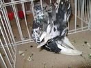 Picture 075