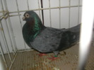 SANY0090