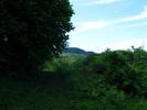 DSCF0599